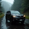 Rental 3