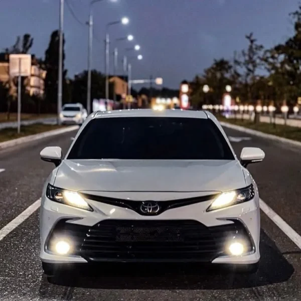 Rental 3
